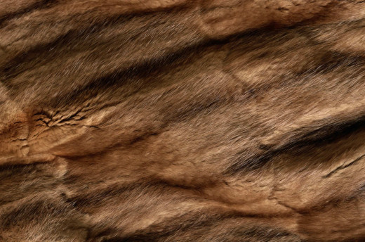 542641 (a): :2560x1690